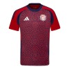 Camisola do Costa Rica Equipamento Principal 2024 Camisola do Costa Rica Equipamento Principal 2024